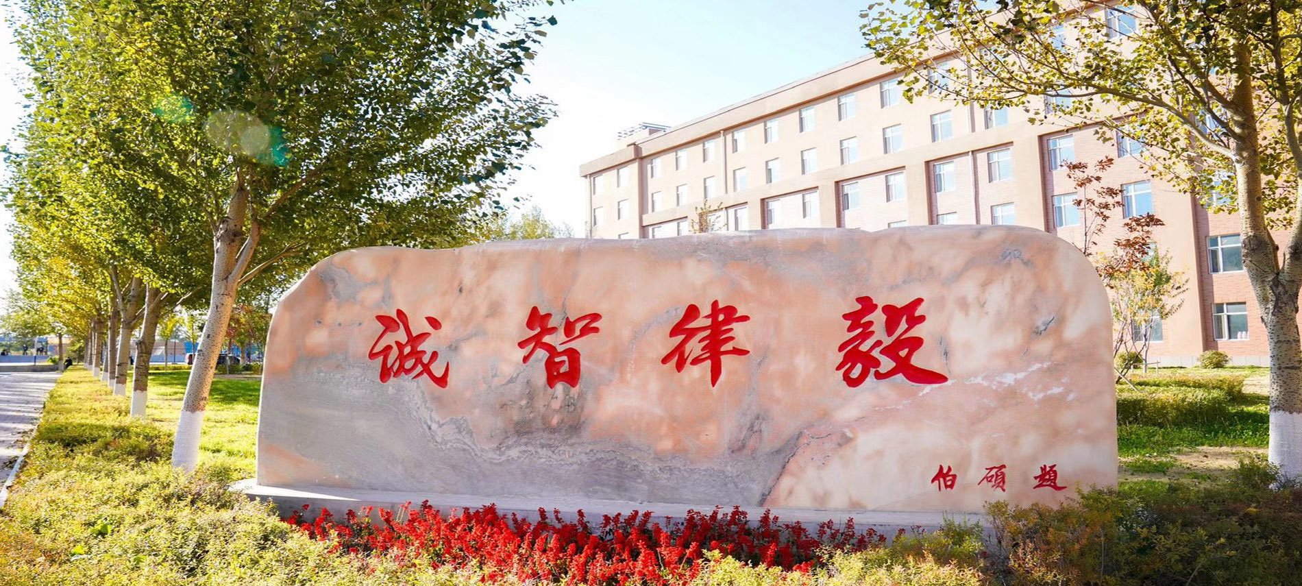 世搏体育平台下载官方网站入口说明